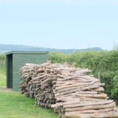 Gumtree Tipis Hotel Bickington Kültér fotó