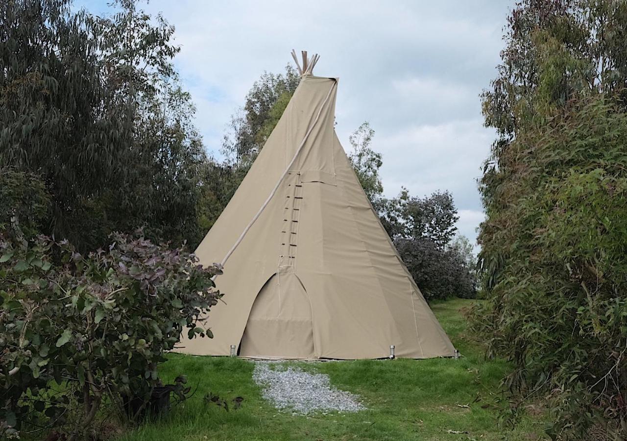 Gumtree Tipis Hotel Bickington Kültér fotó