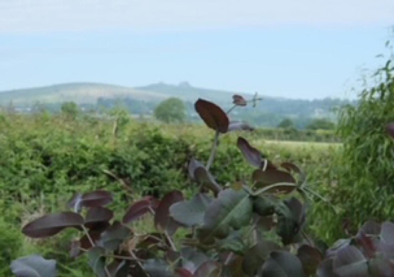 Gumtree Tipis Hotel Bickington Kültér fotó