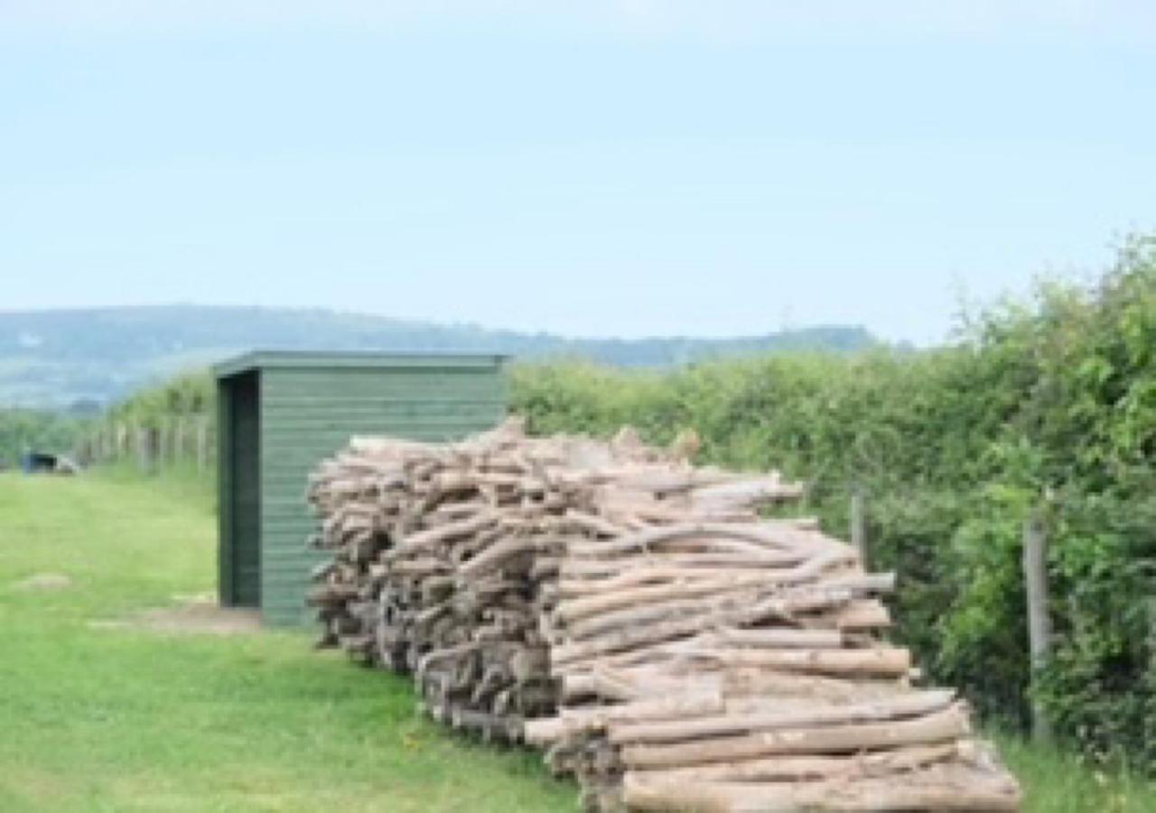 Gumtree Tipis Hotel Bickington Kültér fotó