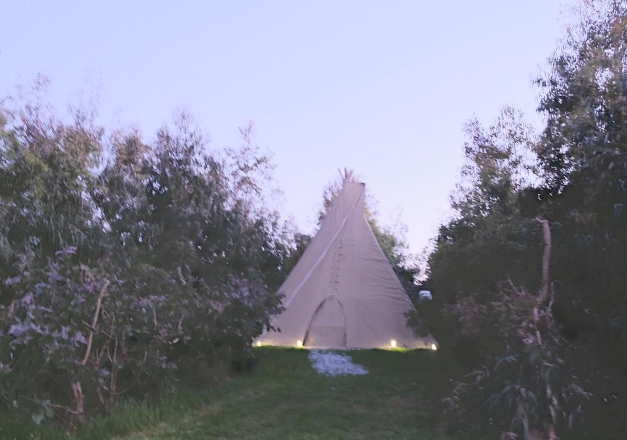 Gumtree Tipis Hotel Bickington Kültér fotó