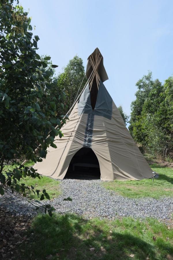 Gumtree Tipis Hotel Bickington Kültér fotó