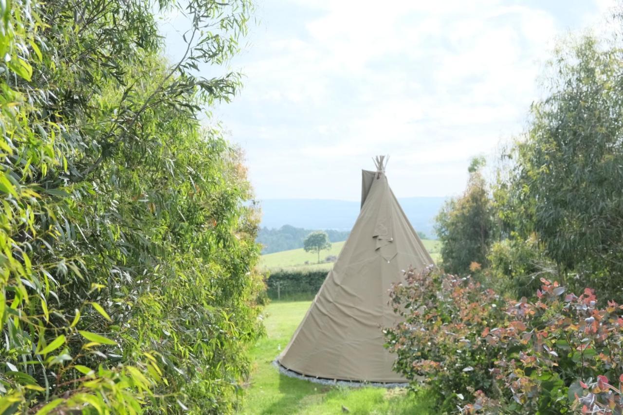 Gumtree Tipis Hotel Bickington Kültér fotó